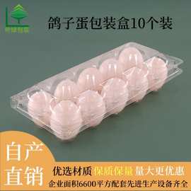 一次性吸塑鸽子蛋盒10枚装透明防震塑胶鸽子蛋托厂家直销礼盒包装