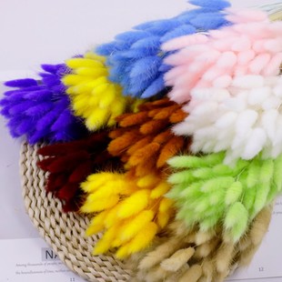 ��ɫ��β�ݸɻ��Ҿӿ͏d�b�DIY�廨����ins��ˇ���[���滨���l
