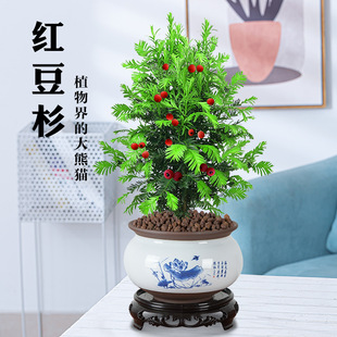 �������؁��t��ɼ����������ĳȩ����ֲ���҃Ȼ������՚�����Gֲ