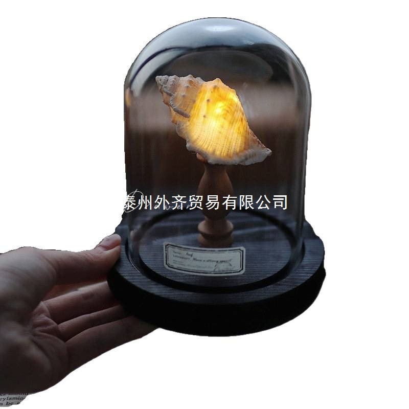贝壳海胆海螺灯小夜灯海洋海岛复古摆件手工diy材料包中秋节礼物|undefined
