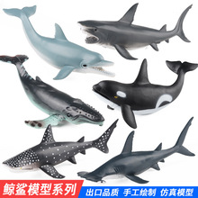 儿童科教动物仿真模型海洋生物巨齿鲨锤头鲨虎鲸鲸鲨鲨鱼玩具摆件