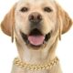 Cuban Chain Dog Collar Dog Metal Cat Chain Diamond Pet Jewelry Necklace Cat Dog Chain Collar Rhinestone Dog Tug