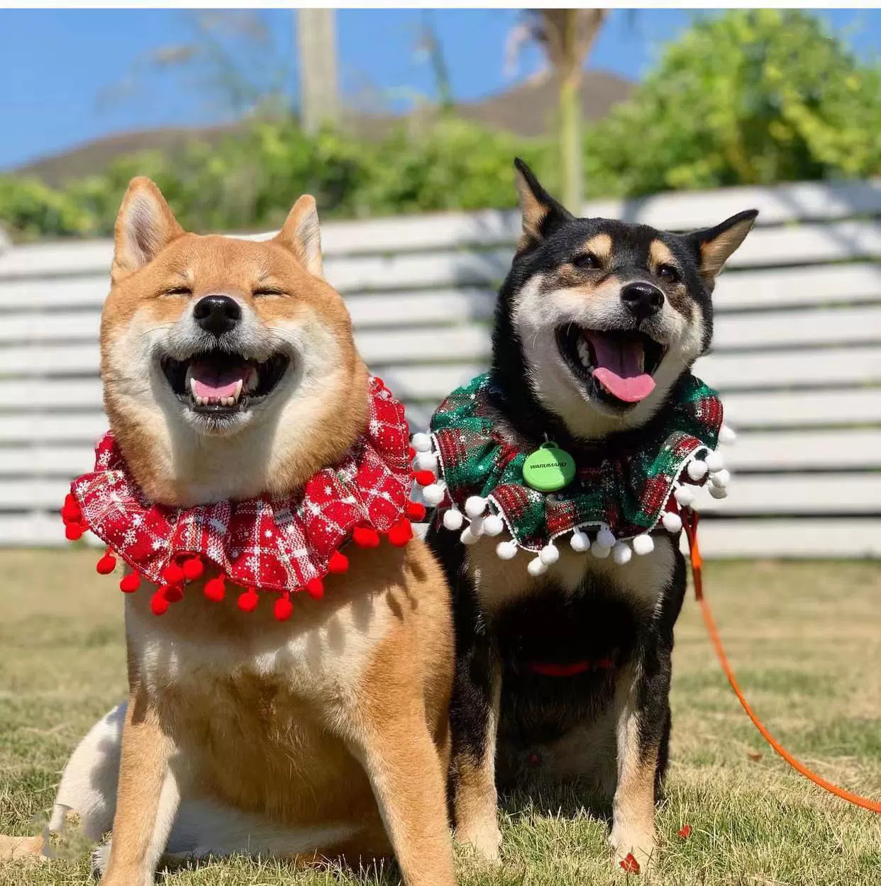 Pet Рождественский шарф креативный VIP Тедди шарф кошка собака Слюна полотенце трансграничное Amazon