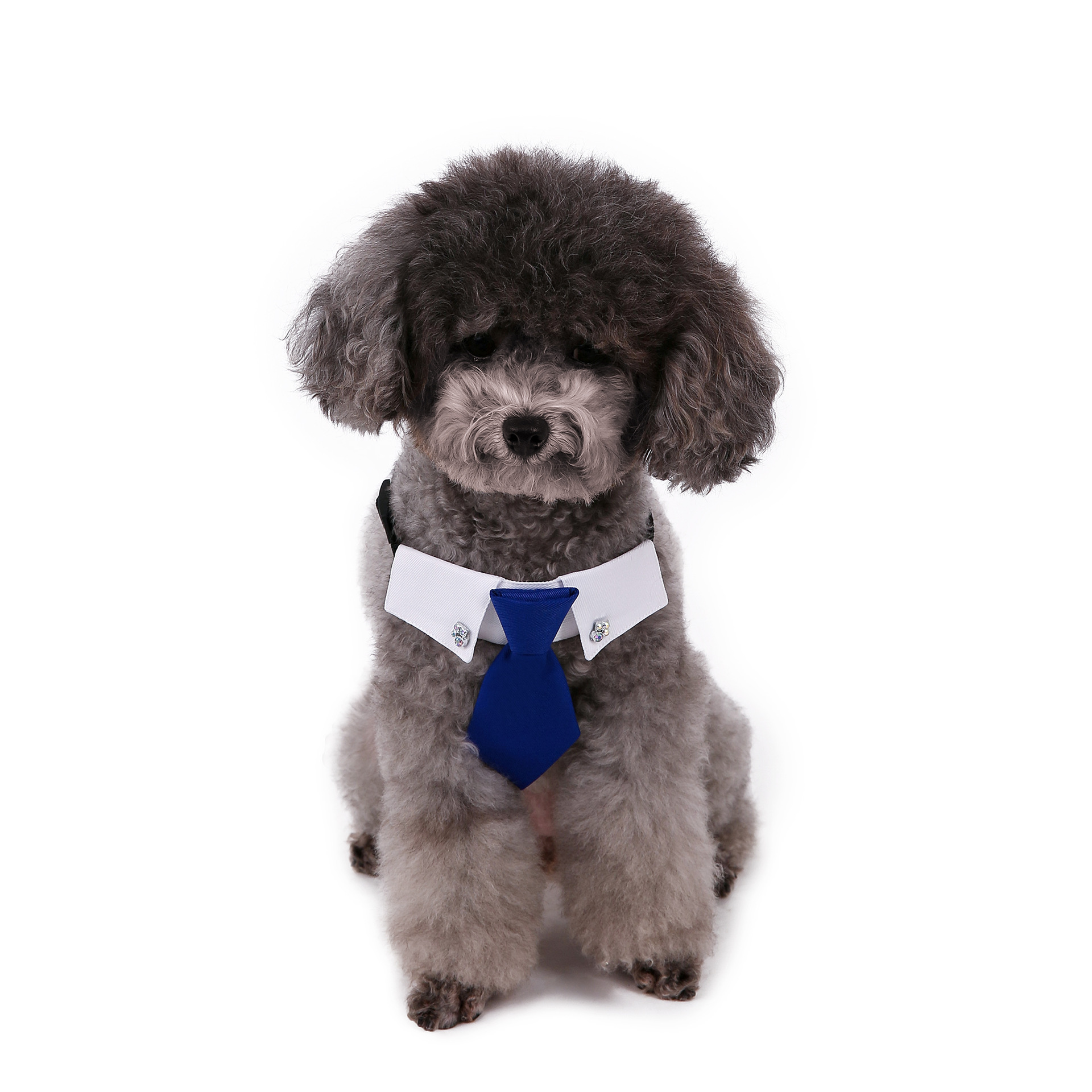 Perro transfronterizo estilo británico guapo traje de boda ropa de perro corbata collar decoración al por mayor