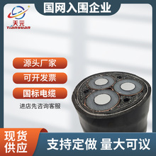 ����YJLV22�߉�3о10kv�Xо�z�b��|��95ƽ��35KV�߉������� ��|