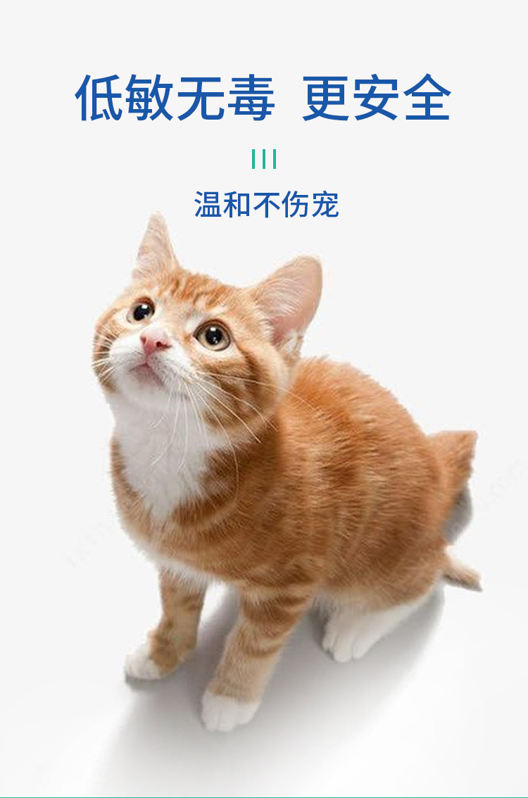 宠康源—非泼罗尼滴剂—750祥情页1