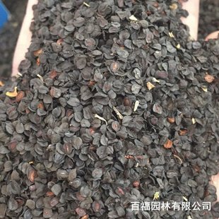 �a�����l����ʯ��N�ӷN���ļ��׻�N��ͥԺ���@�������N����ʯ��