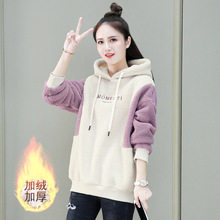 ���ë�l��Ů2024���ﶬ���¿���n��ƴ���Bñ���׼ӽq�Ӻ�����