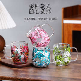 ins风新品真花干花双层高硼硅玻璃杯办公室酒吧家用马克咖啡杯
