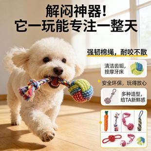 �S�Ҍ���ĥ�����ҧ���������˽␞ĥ����С������ҧ�羳�W����׼