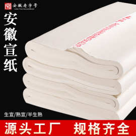 书法纸加厚半生熟四尺对开毛笔字纸初学者学生工笔熟宣国画生宣纸