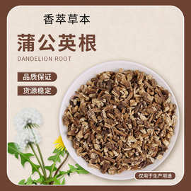 定制中药材 蒲公英根散货泡茶泡水蒲公英根茶正品干货量大价优