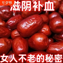 �t��̝�X�_���½���؛���l�خa�����r�a�ش��bؚѪ