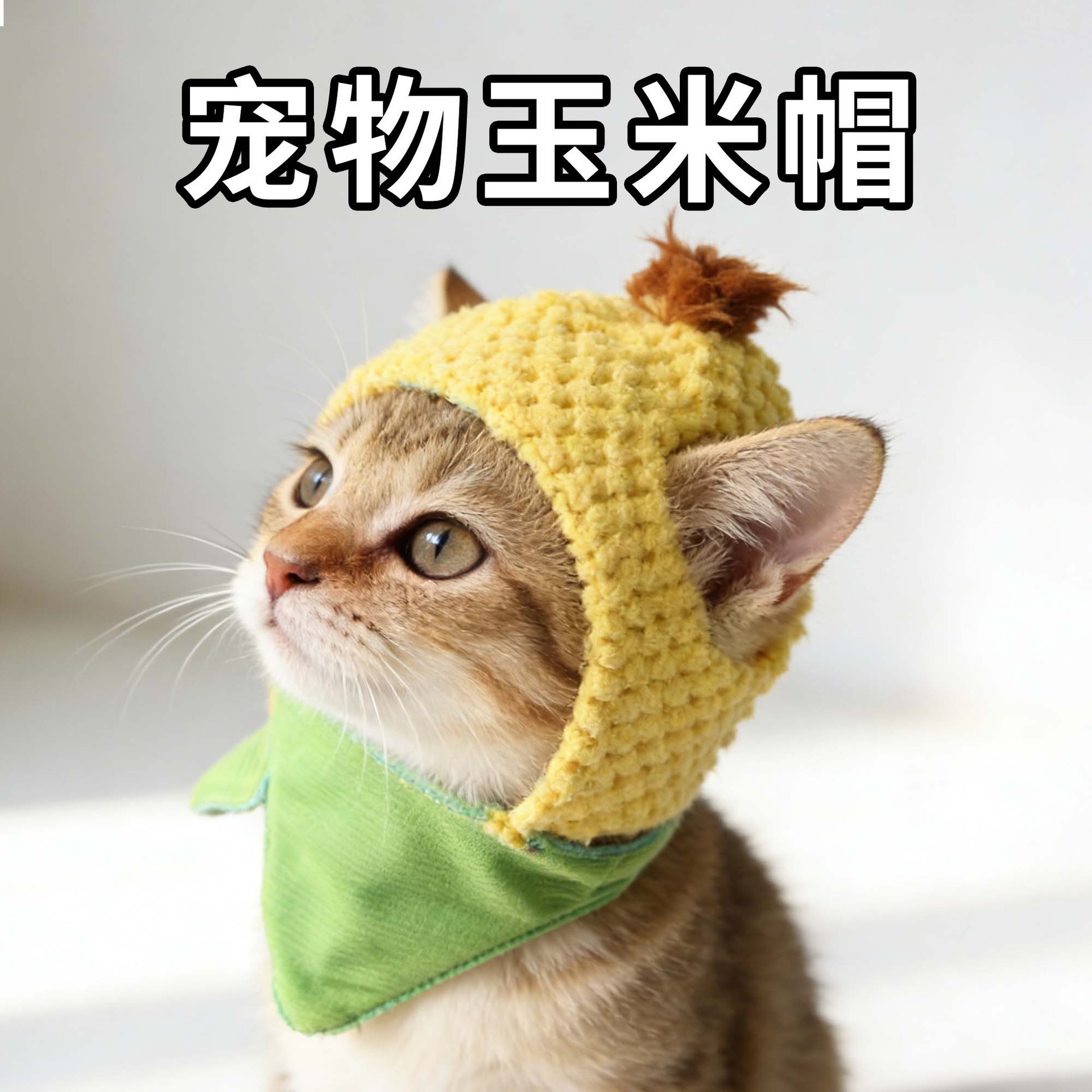 Resumen mascota tocado lindo perro Teddy vestir girasol mascota tocado peluca gato sombrero de Halloween image 35