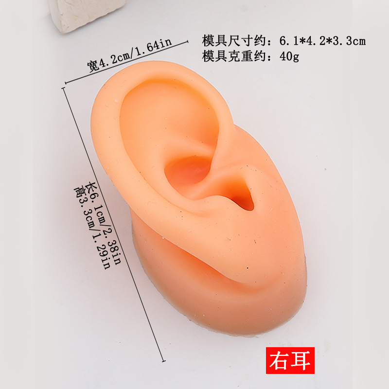 Simulación de cinco rasgos faciales, práctica de puntos de acupuntura del oído perforados, accesorios de enseñanza, clavos de lengua, clavos de nariz, pantalla de ombligo de boca, molde de silicona