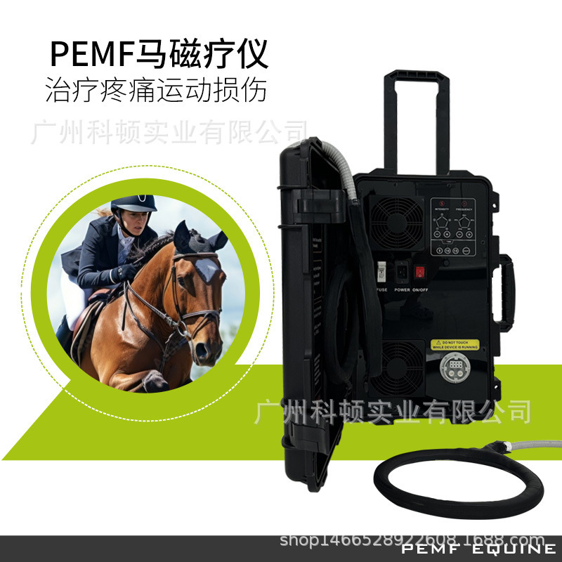 Portable Magnetic Ring Pemf Magnetic Therapy Instrument Horse Whole Body Pain Relief Repair Sports Injury Pulse Electromagnetic Field