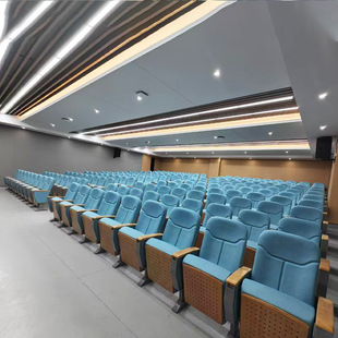 Row of Auditorium Chairs, University Academic Lecture Hall Row Chairs, Foldable Theater Cinema Ladder Chairs, Conference Room Seats