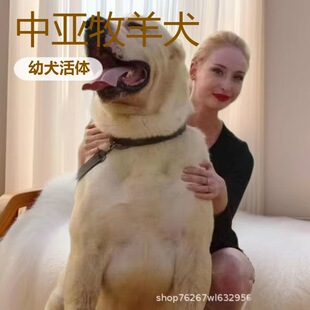 �Ё�����Ȯ��Ȯ���w����С���Ё��o�lȮ���ͷ���Ȯ����Ȯ�C��Ȯ