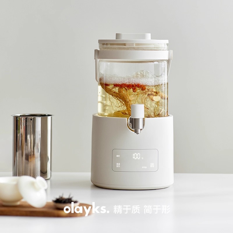 Olayks Instant Poly Bucket 2.8L Large Capacity Water Kettle Health Pot Household Multi-Function