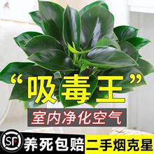�������ֲ���K��荾G�}�jˮ����~�Gֲ�����k���҃ȑ��˺��B����