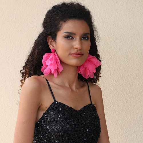2024 spring new color tassel earrings original design ins fashion dopamine versatile earrings wholesale for women