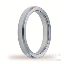 �������졿KROLL��ZILLER ���z䓉|Ƭ RTJ �h����^�|Ƭ