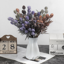 �羳����С�ɹ����N�ٹ��ӻ�Ȧֲ�����҃ȸ߼������[��