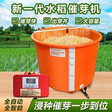 ˮ���N�әC�ȷNˮ����ѿ�r��Ͱ��ѿ��ѿ�Cˮ����ѿ��ѿ��ѿ������