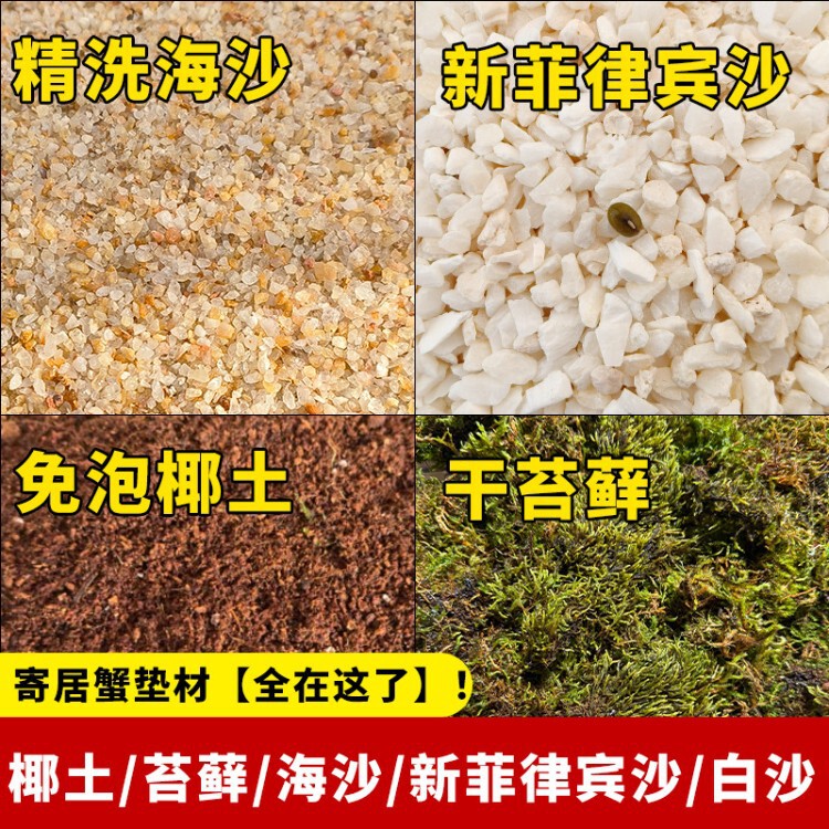 No-Wash Sand for Hermit Crabs, Specialized Sea Sand for Crab Breeding, Chili Crab Supplies, No-Wash Native Aquarium Landscaping Substrate No-Wash Sand for Hermit Crabs, Specialized Sea Sand for Crab Breeding, Chili Crab Supplies, No-Wash Native Aquarium Landscaping Substrate