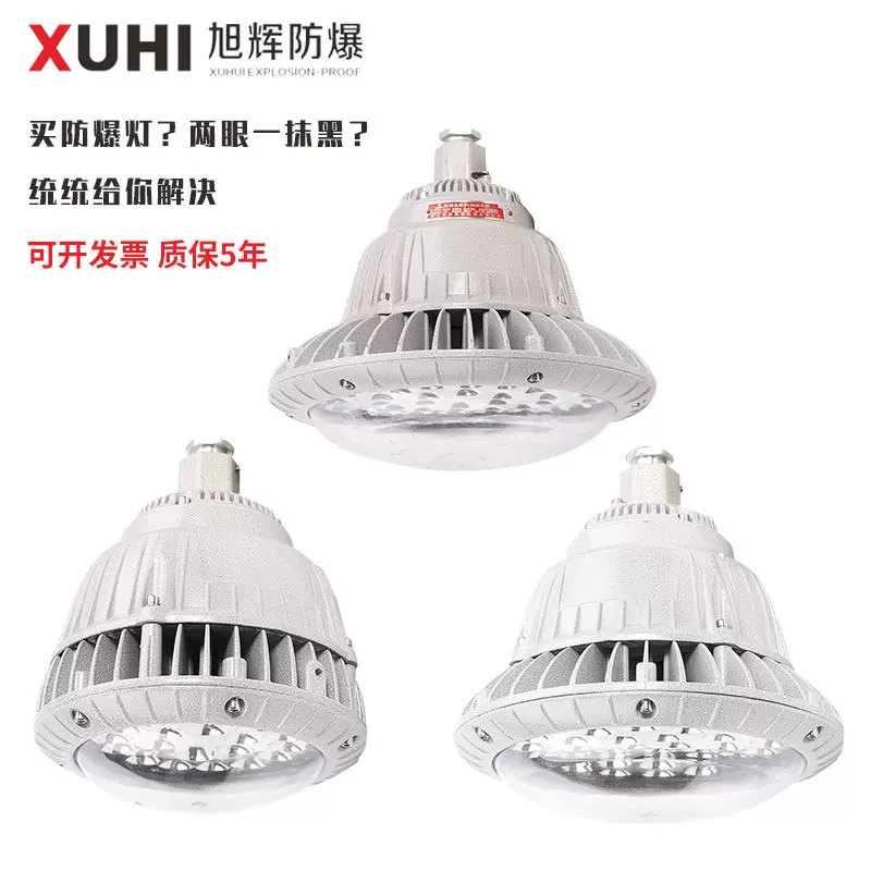 XHD530防爆LED灯50W100W150W防爆灯化工车间防爆照明吊灯