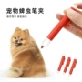 清洁宠物狗狗跳蚤