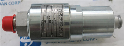 MERCER 安全阀 91-M2C61P5641