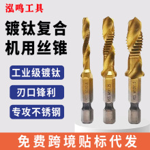 �羳���Ǳ��ͺϽz�F��^��׹��zһ�w�����Թ�荰��b��һ�w荹��z