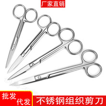不锈钢拆线剪刀弯头手术眼科组织剪纱布外科实验室解剖剪尖头剪子