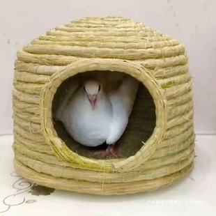 �ݸC�g�����C��ů�B�C�C�W�^���ӸC�������P�����B���µ����C