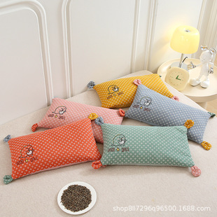 New cotton double-layer yarn small dinosaur children buckwheat pillow 30 x 50cm pillow wholesale generation