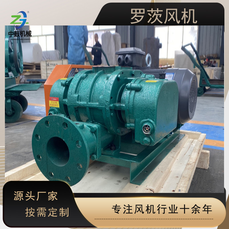 负压吸料真空 引持气力输送罗茨鼓风机污水处理曝气三叶罗茨风机