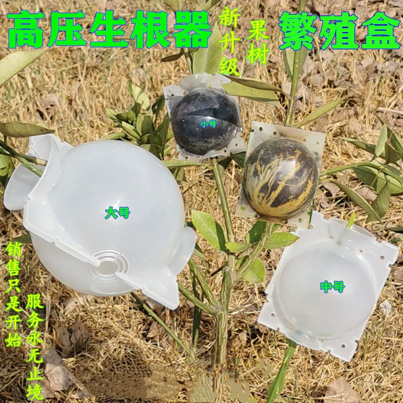Коробка для укоренения растений коробка высокого давления резка прививки высотный пресс-бар чашка для укоренения бесполого корневого контроллера распространения цветочный горшок