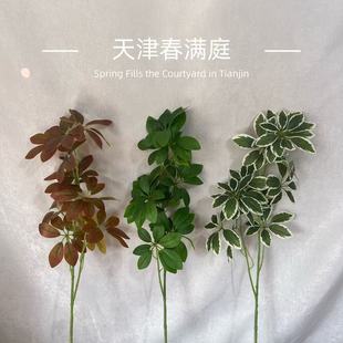 ����Gֲ����ľ�lؔ�~���^�����b������~����ľ�廨���ֲ�