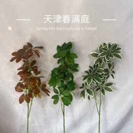 仿真绿植鸭掌木发财叶景观工程装饰七星叶鸭掌木插花配材植物墙