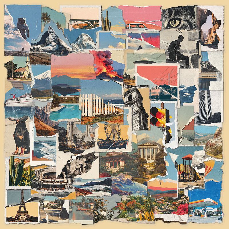 50 Tear-Off Photo Stickers to Decorate Scooter Luggage Pet Transparent Waterproof DIY Stickers Available for Wholesale