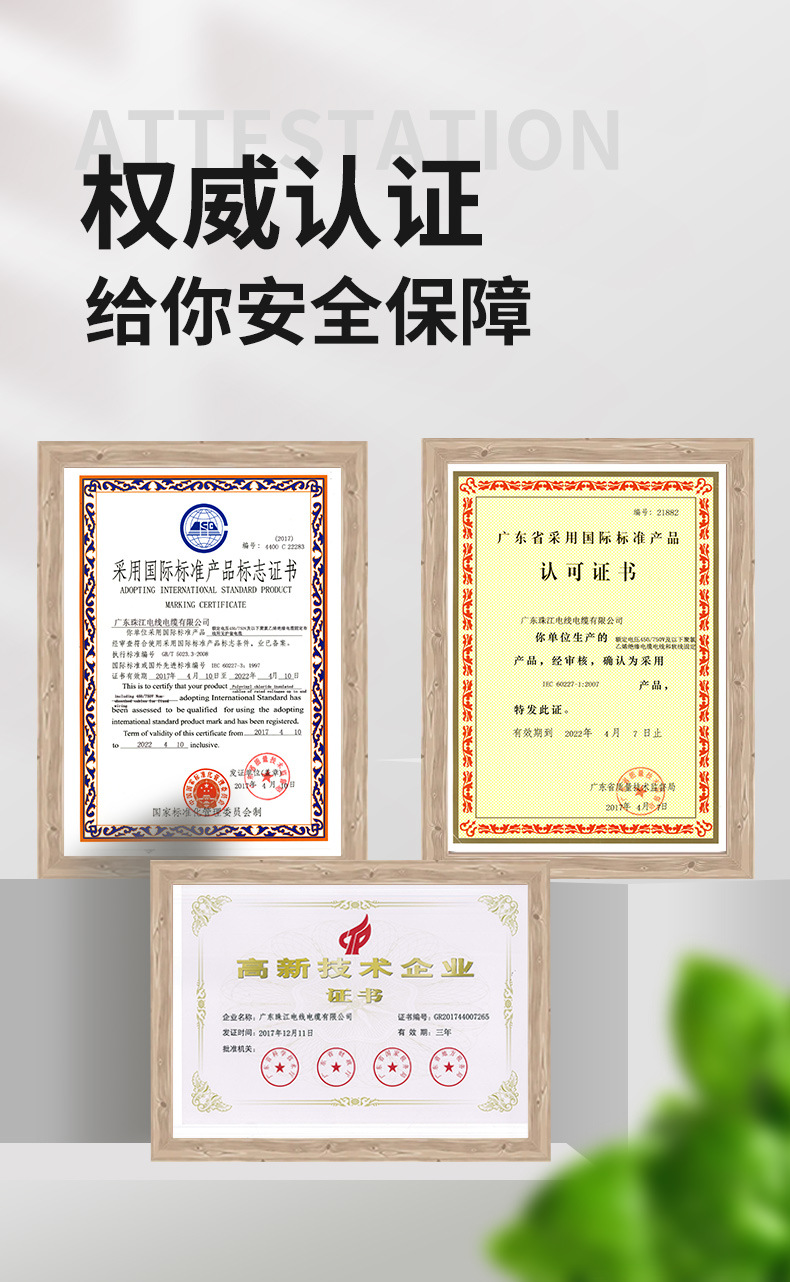 广东珠江BV_10.jpg