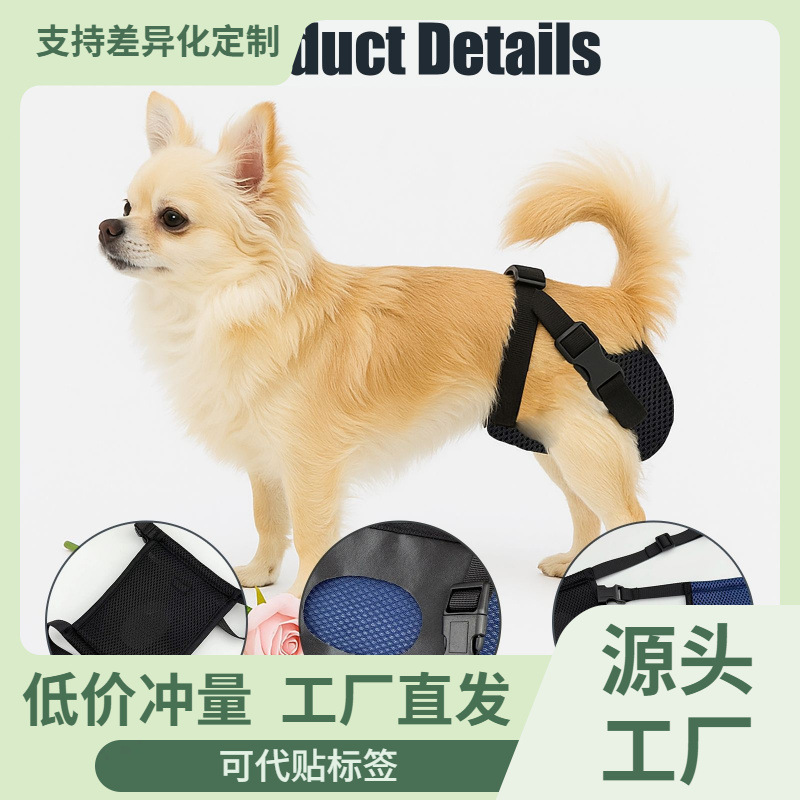 New Female Dog Menstrual Pants, Pet Dog Underwear, Washable Period Pants, Pet Supplies