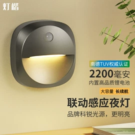 室内壁灯;室外壁灯;庭院灯