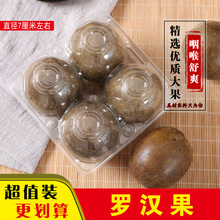 羅漢果茶8個廣西桂林特產永福大果4個低溫脫水泡水潤喉20個