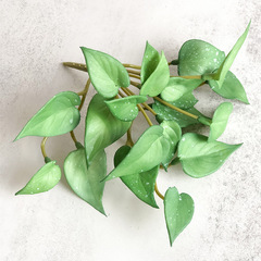 仿真水養軟膠龜背葉家居裝飾公司辦公室等場景布置批發