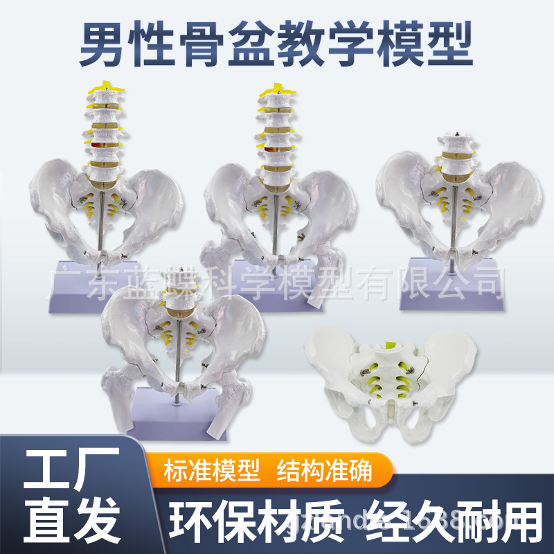 1��1���Թ���걾ģ���Ĺ����ǳܹ���ʾ��Ȼ�����������׵������