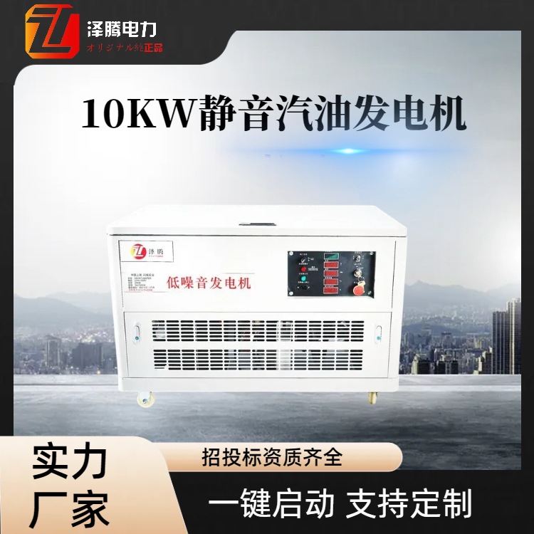 10KW双缸水冷汽油发电机   SH13000E    厂家生产   质保一年