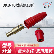 厂家供应温州正特DKB-70系列康尼K18P插头