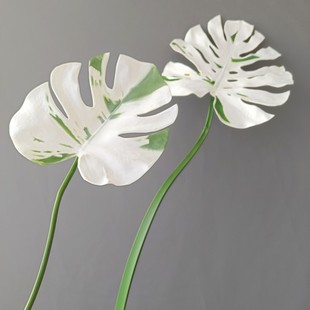 PU�����~������ ���Wins�ҾӘӰ��g�Ƶ��c�bzӰ���߿羳؛Դ